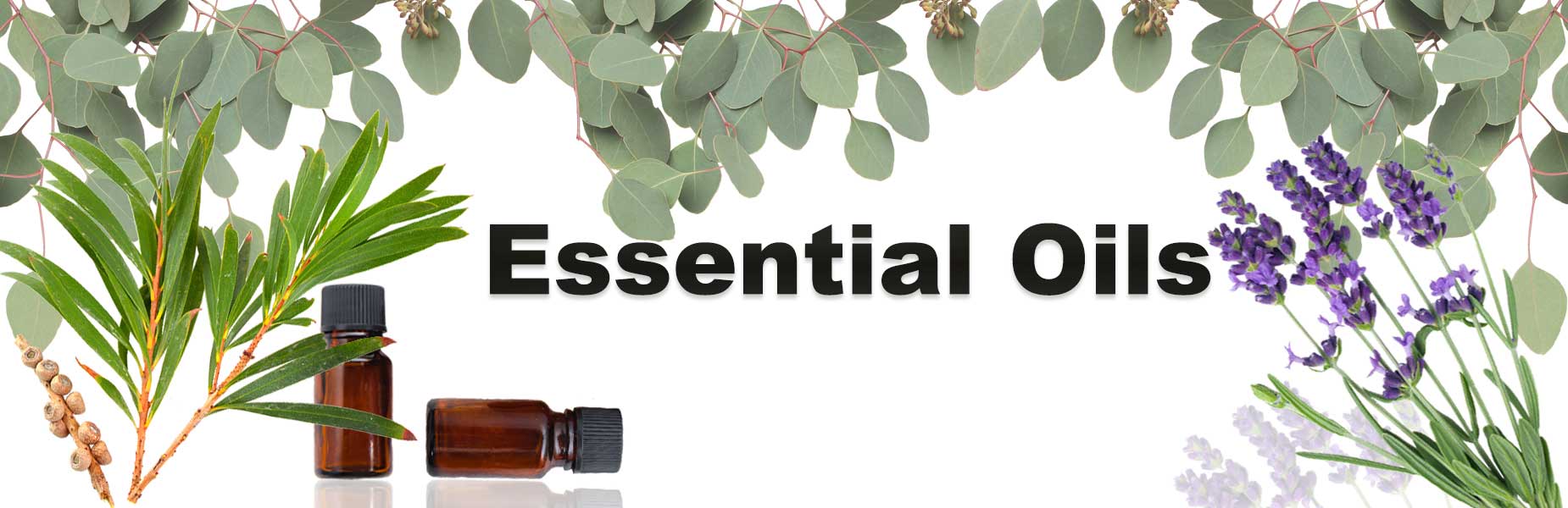 Essential Oils