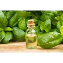 Basil Essential Oil - USDA Certified Organic