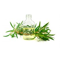 Tea Tree Essential Oil - USDA Organic