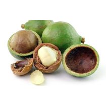 Tamanu Oil - USDA Organic